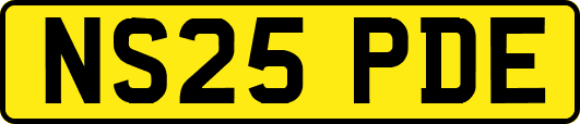 NS25PDE