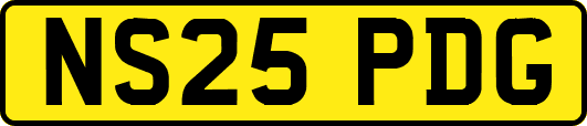 NS25PDG