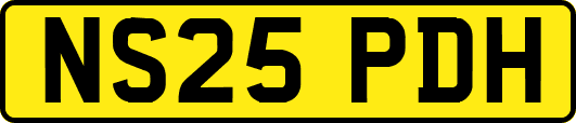 NS25PDH