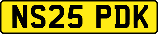 NS25PDK