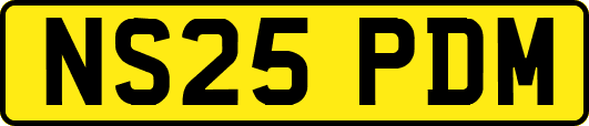 NS25PDM