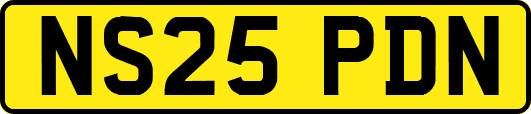 NS25PDN