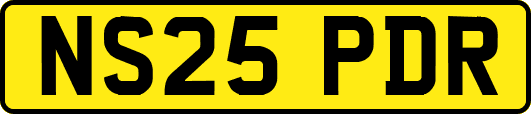 NS25PDR