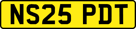 NS25PDT