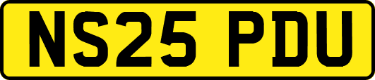 NS25PDU