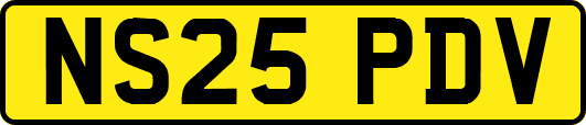 NS25PDV