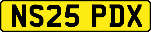 NS25PDX