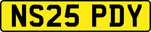 NS25PDY