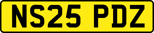 NS25PDZ