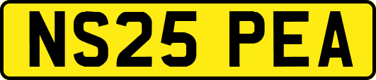 NS25PEA