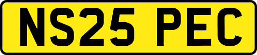 NS25PEC