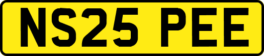 NS25PEE