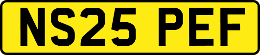NS25PEF