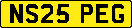 NS25PEG