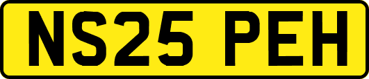 NS25PEH