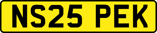 NS25PEK