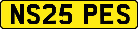 NS25PES