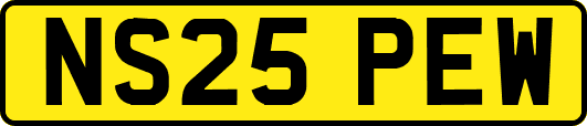 NS25PEW