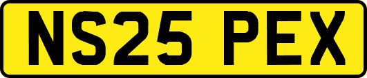 NS25PEX