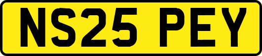 NS25PEY