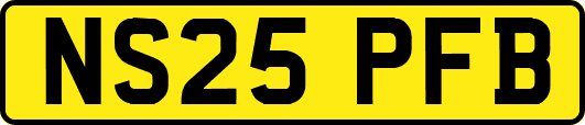 NS25PFB