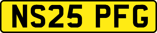 NS25PFG