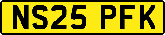 NS25PFK