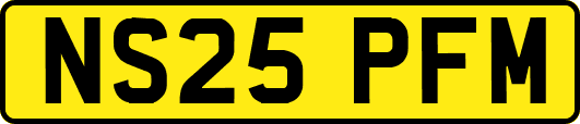 NS25PFM