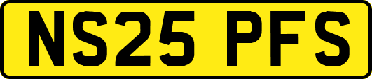 NS25PFS