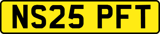 NS25PFT