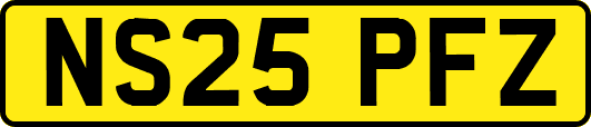 NS25PFZ