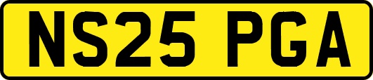 NS25PGA