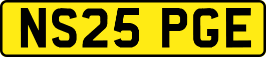 NS25PGE