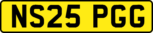 NS25PGG