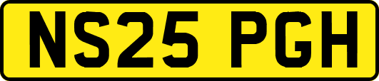 NS25PGH