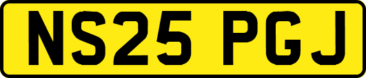 NS25PGJ