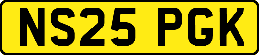 NS25PGK