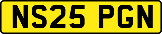 NS25PGN