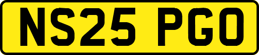 NS25PGO