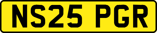 NS25PGR
