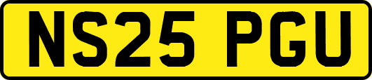 NS25PGU
