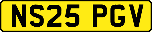 NS25PGV