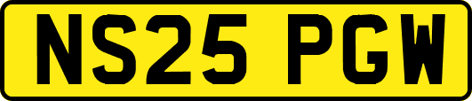 NS25PGW