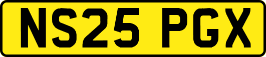 NS25PGX
