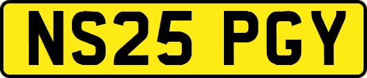 NS25PGY