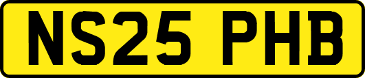 NS25PHB
