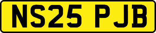 NS25PJB