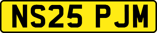 NS25PJM