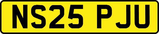 NS25PJU