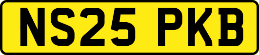 NS25PKB